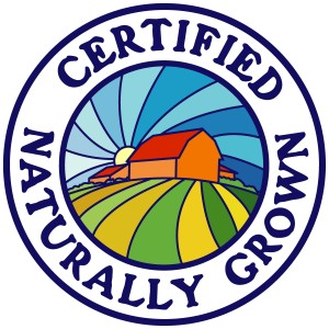 CNG logo